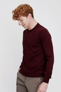 Men's Dark Claret Red Dynamic Fit Basic Crew Neck Knitwear Sweater 100345102