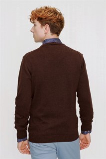 Men Cinnamon Dynamic Fit Basic V Neck Knitwear Sweater 100345106