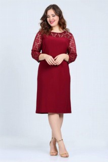 Short evening dress - Plus Size Evening Dress 100276115 - Turkey