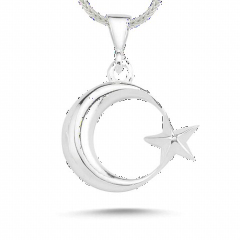 Moon Star Curved Silver Necklace 100348831