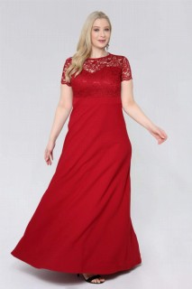 Plus Size Long Lace Evening Dress 100276287