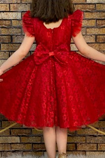 Girl's Flower Embroidered Skirt Fluffy Tulle Red Evening Dress 100328411