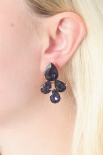 Purple Color Crystal Stone Women's Earrings 100327962