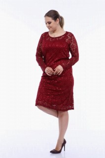 Large Size Lycra Lace Evening Dress Claret Red 100275957