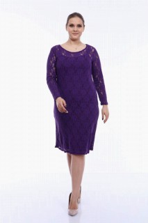 Large Size Lycra Lace Evening Dress Purple 100276074