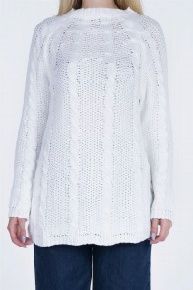 Women's Sweater 100326411