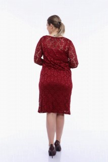 Large Size Lycra Lace Evening Dress Claret Red 100275957