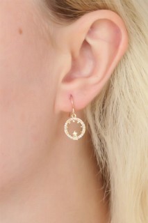 Gold Color Ring Figure Zircon Stone Detail Women's Necklace Earring Set 100327955