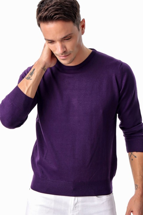 Men's Purple Dynamic Fit Basic Crew Neck Knitwear Sweater 100345166