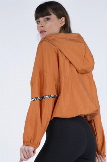 Women's Hooded Striped Sweatshirt 100326341