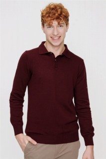 Men's Dark Claret Red Dynamic fit Basic Polo Neck Knitwear Sweater 100345110