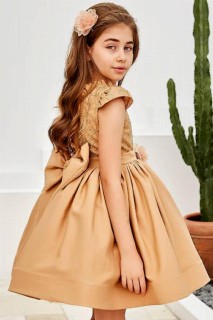 Girl's Ruffle Collar Embroidered Embroidered Skirt and Fluffy Tulle Brown Evening Dress 100327786