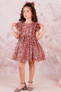 Girl's Sleeves Frilly Lace Embroidered Sequin Detailed Powder Evening Dress 100328733