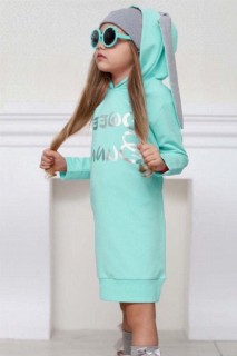 Girl's New Sweet Bunny Bunny Eared Blue Dress 100328189