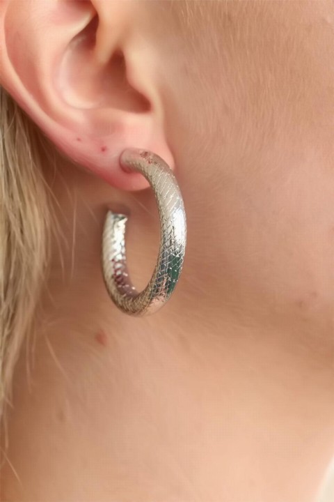 Ring Silver Color Metal Ladies Earrings 100318731