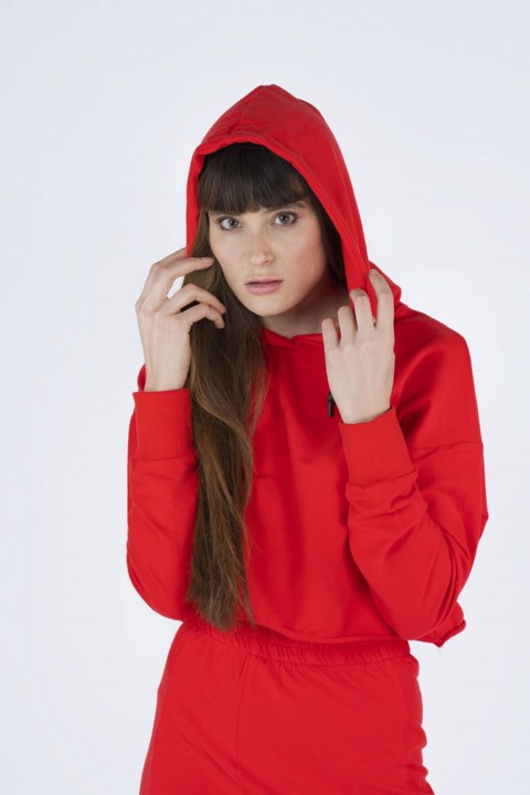Women's Hooded Skirted Sweatshirt Double Suit 100326319