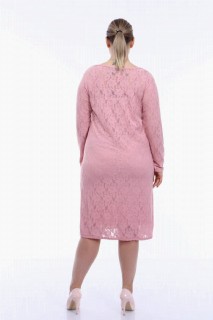 Plus Size Lycra Lace Powder Evening Dress Powder 100276073