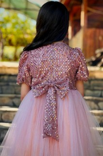 Girls' V-Neck Transparent Detailed Skirt Tulle Pulpayet Pink Evening Dress 100328584