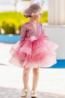 Girl's Half Sleeve Skirt Fluffy Tulle Pulpeau Pink Evening Dress 100328475