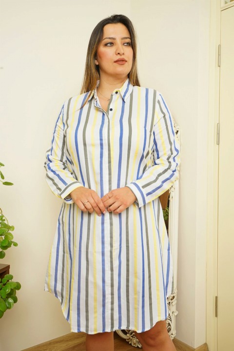 Women's Plus Size Striped Tunic Dress 100325446