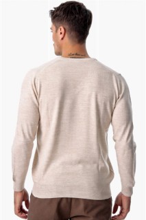Men Beige Dynamic Fit Basic V Neck Knitwear Sweater 100345083