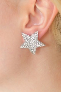 Silver Color Star Model Zircon Stone Women's Earrings 100328080